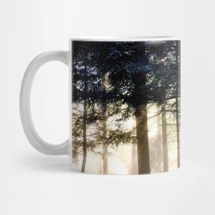 Sun rays tree trunks / Swiss Artwork Photography Mug